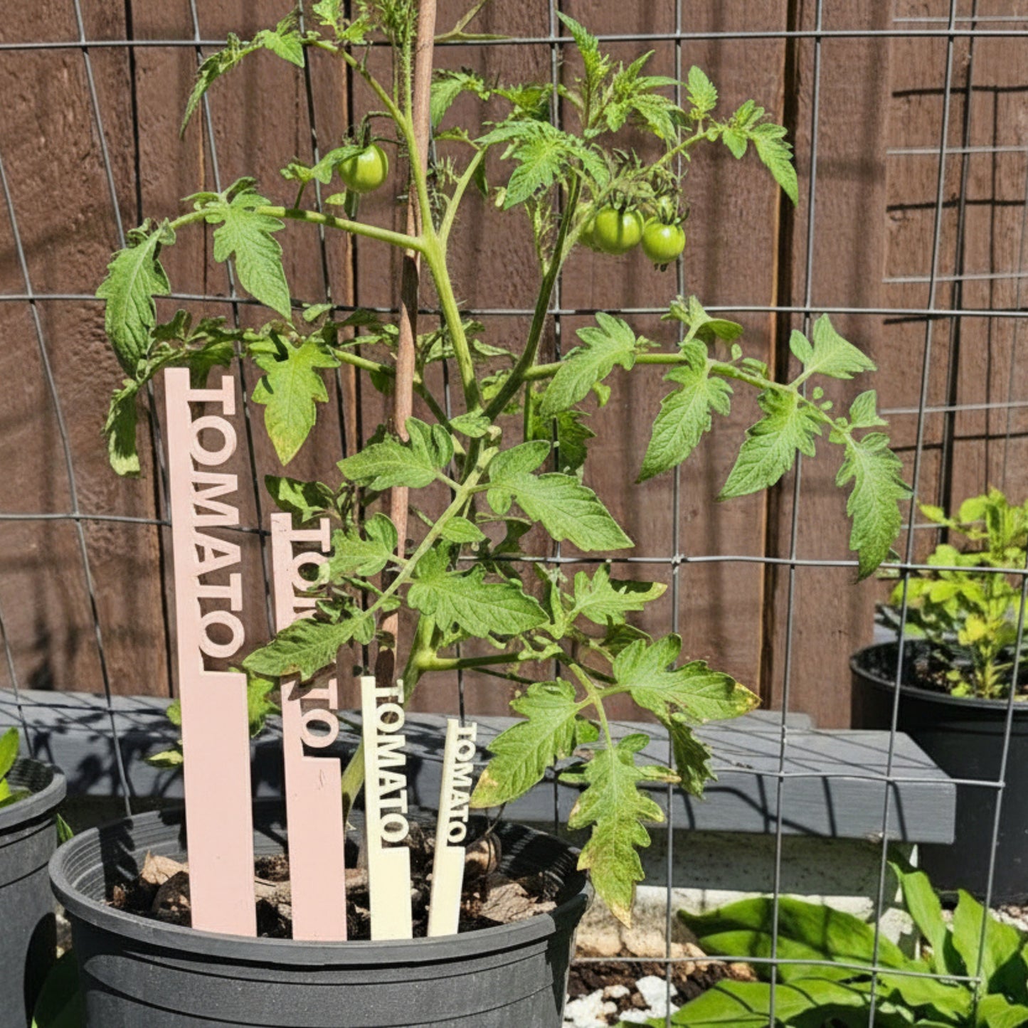 Vegetable Garden Stake Labels – Acrylic Plant Markers