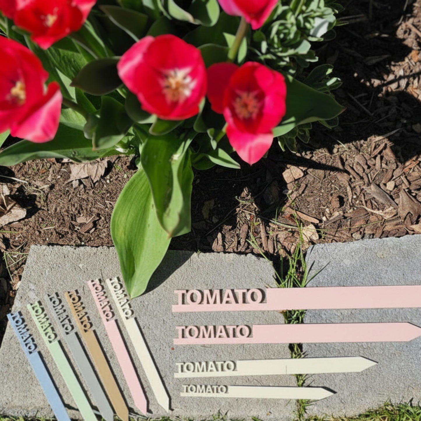 Vegetable Garden Stake Labels – Acrylic Plant Markers