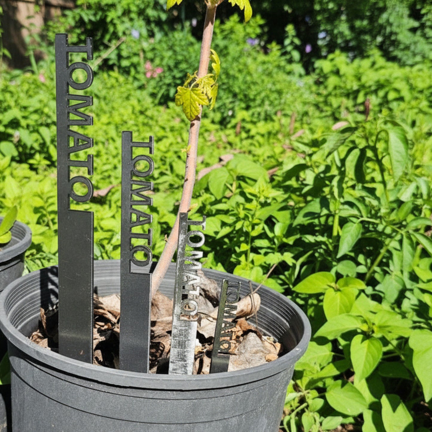Vegetable Garden Stake Labels – Metal Plant Markers